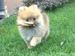 img-20170427-wa0005-1